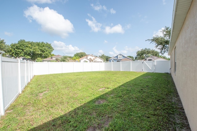 11021 Silver Dancer Dr, Riverview, FL 33579 - view of yard with a gate