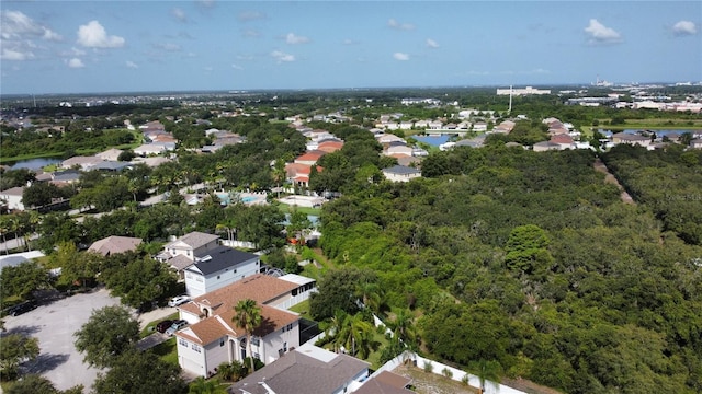 11021 Silver Dancer Dr, Riverview, FL 33579 - aerial perspective of suburban area featuring a large body of water
