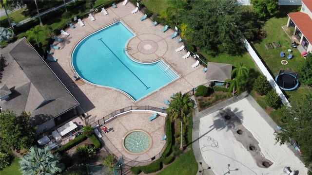11021 Silver Dancer Dr, Riverview, FL 33579 - drone / aerial view of a pool area
