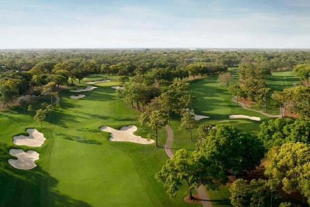aerial view of a golf course