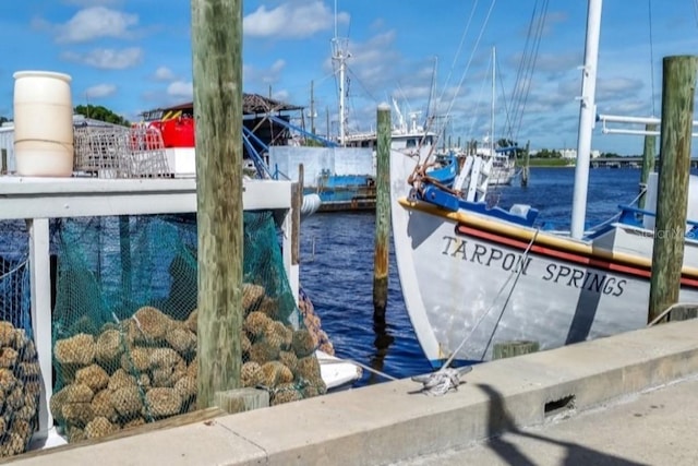 dock area featuring a water view