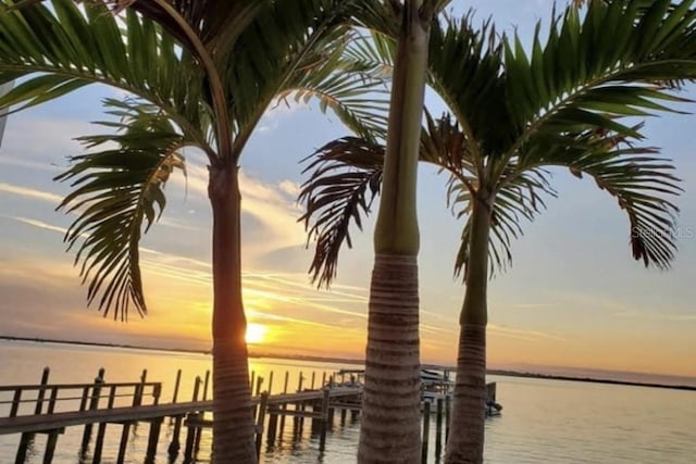dock with a water view