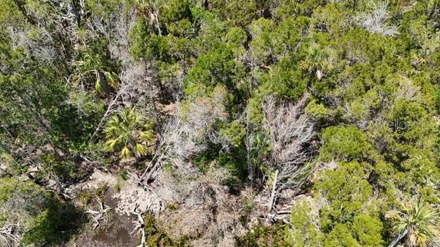 13495 Sportsman Is, Homosassa, FL 34448 - photo 6
