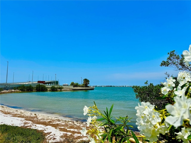 100 Bluff View Dr Unit 105C, Belleair Bluffs, FL 33770 - water view