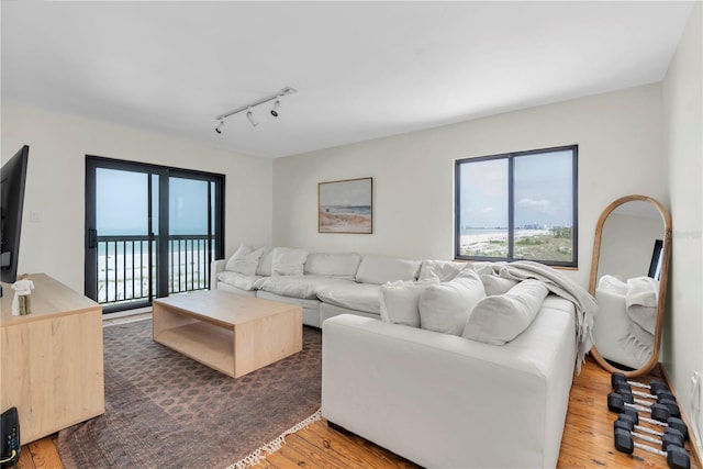 3200 Gulf Blvd Unit 202, St Pete Beach, FL 33706 - living room with rail lighting and wood finished floors