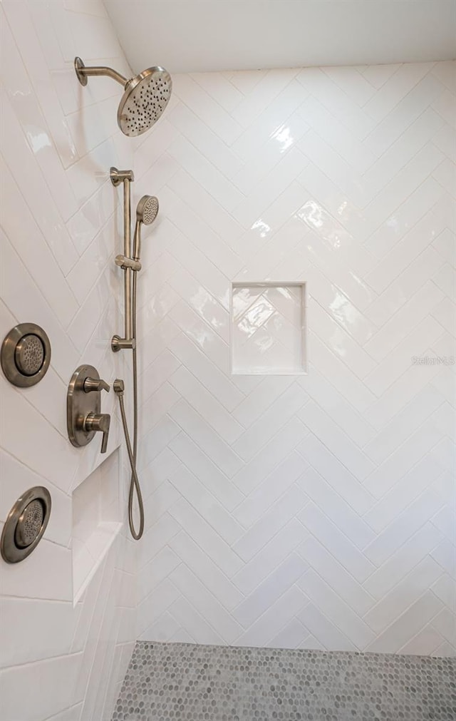 bathroom view of a tile shower