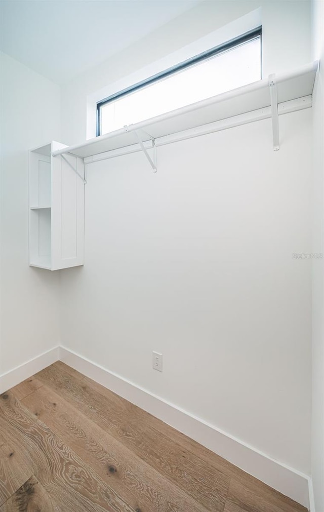 spacious closet with light wood-type flooring