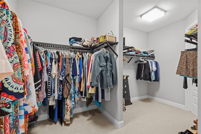 21642 Emory Oak Pl, Land O Lakes, FL 34637 - walk in closet featuring carpet