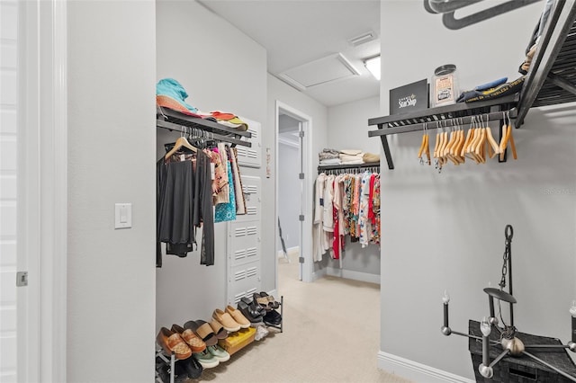 21642 Emory Oak Pl, Land O Lakes, FL 34637 - walk in closet with attic access and carpet