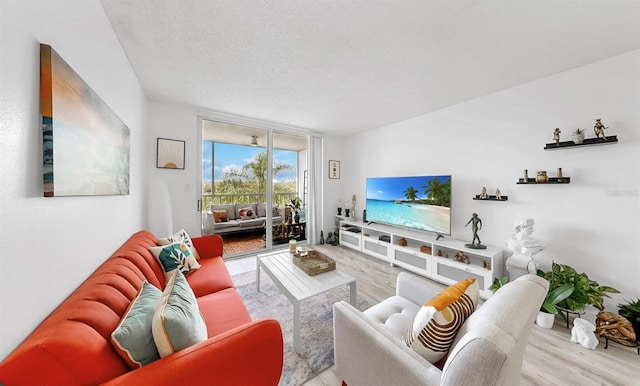 2333 Feather Sound Dr Unit B309, Clearwater, FL 33762 - photo 27