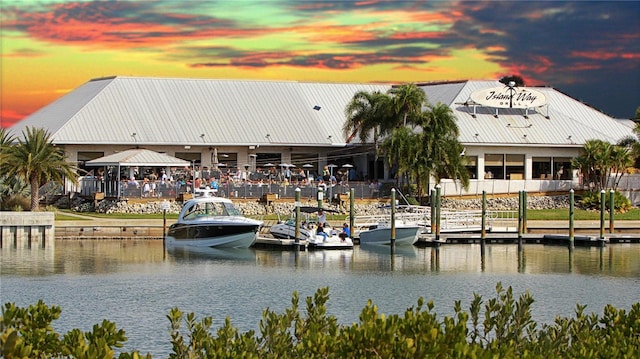 dock area with a water view