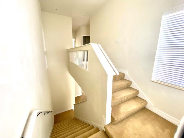 1503 Citrine Trl, Tarpon Springs, FL 34689 - photo 9