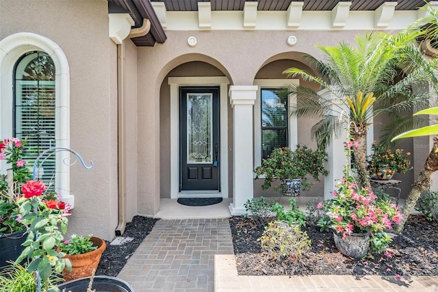 32242 Summerglade Dr, Wesley Chapel, FL 33545 - doorway to property with stucco siding