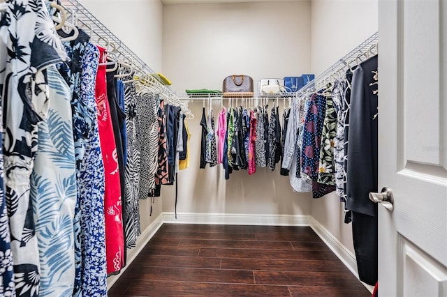32242 Summerglade Dr, Wesley Chapel, FL 33545 - spacious closet with wood finished floors