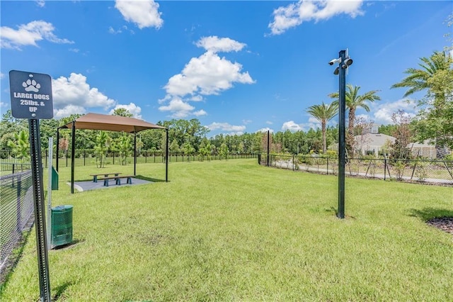 32242 Summerglade Dr, Wesley Chapel, FL 33545 - surrounding community featuring a gazebo