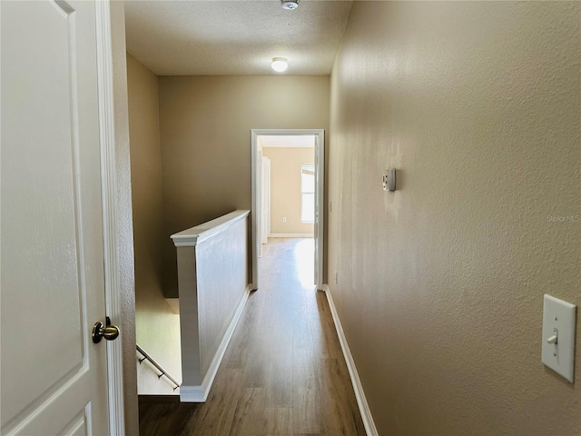 3531 High Hampton Cir, Tampa, FL 33610 - photo 11