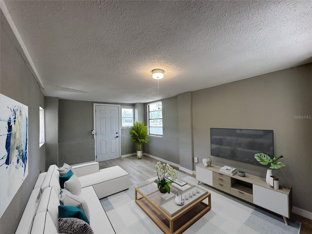 1536 S Martin Luther King Jr Ave, Clearwater, FL 33756 - living room featuring light wood-type flooring, a textured ceiling, and baseboards