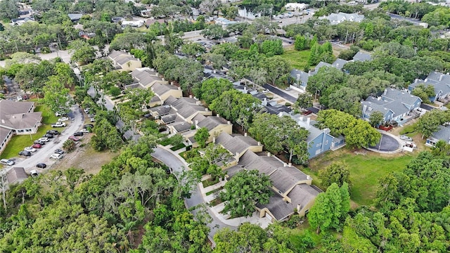 413 Somerset Ln, Palm Harbor, FL 34684 - photo 34