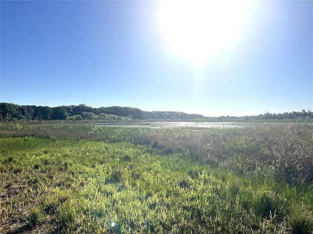 9722 Kenton Rd, Wesley Chapel, FL 33545 - view of nature