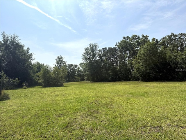 9722 Kenton Rd, Wesley Chapel, FL 33545 - view of grassy yard with a wooded view