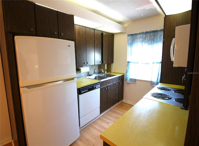 kitchen featuring white appliances, a sink, light wood-style floors, dark brown cabinetry, and light countertops