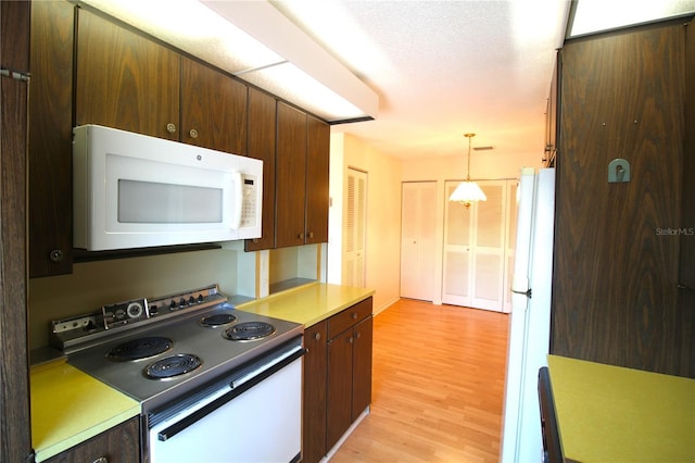 kitchen with white appliances, light wood finished floors, pendant lighting, dark brown cabinetry, and light countertops