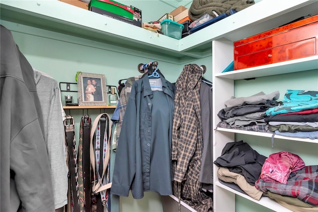 5103 Rushbrook Rd, Land O Lakes, FL 34638 - view of walk in closet