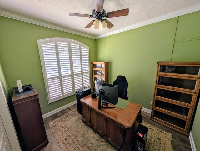 5103 Rushbrook Rd, Land O Lakes, FL 34638 - photo 34