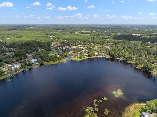 drone / aerial view of a heavily wooded area and a large body of water