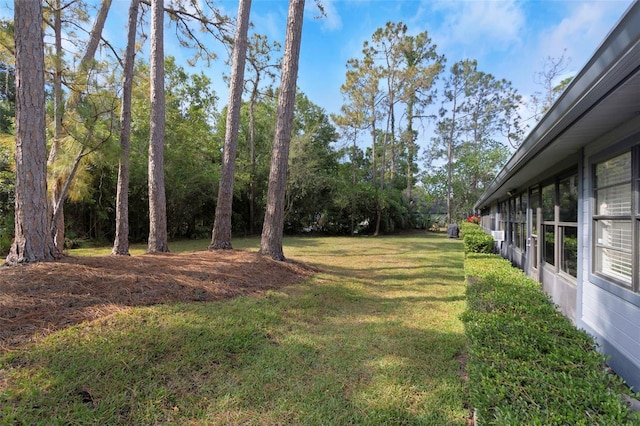 200 Pinewinds Blvd, Oldsmar, FL 34677 - photo 28