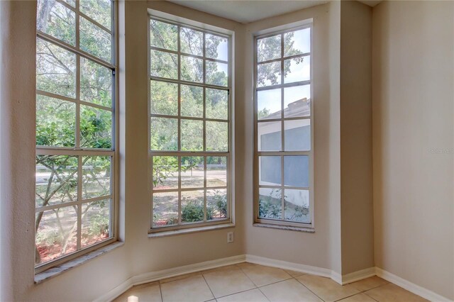 8110 Pond Shadow Ln, Tampa, FL 33635 - entryway featuring plenty of natural light, light tile patterned floors, and baseboards