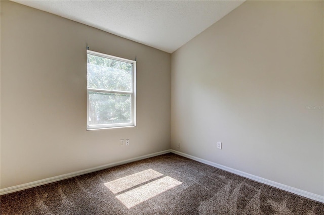 8110 Pond Shadow Ln, Tampa, FL 33635 - carpeted empty room with baseboards, lofted ceiling, and a textured ceiling