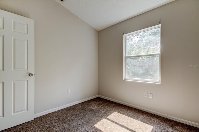 8110 Pond Shadow Ln, Tampa, FL 33635 - spare room with carpet, vaulted ceiling, and baseboards