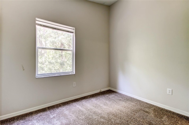 8110 Pond Shadow Ln, Tampa, FL 33635 - carpeted empty room featuring baseboards