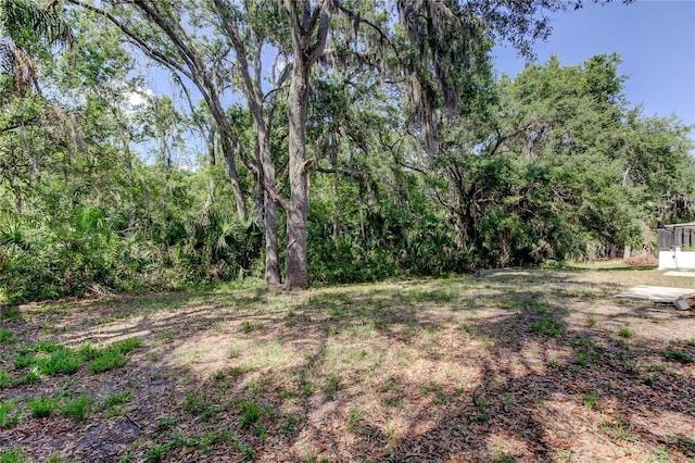 8110 Pond Shadow Ln, Tampa, FL 33635 - view of yard with a wooded view