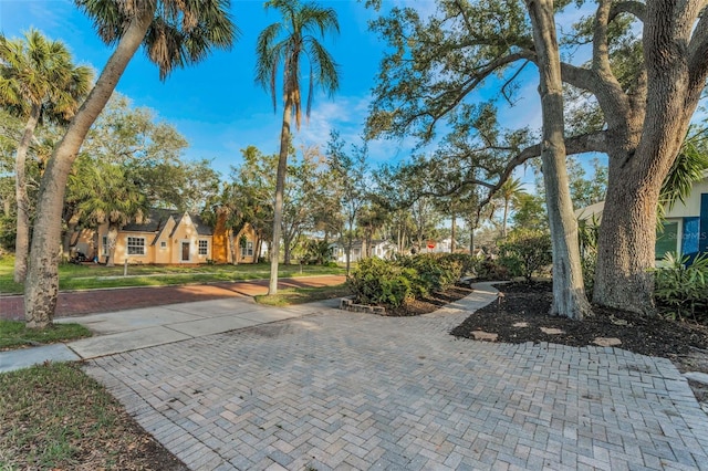 330 Pineapple St, Tarpon Springs, FL 34689 - view of yard