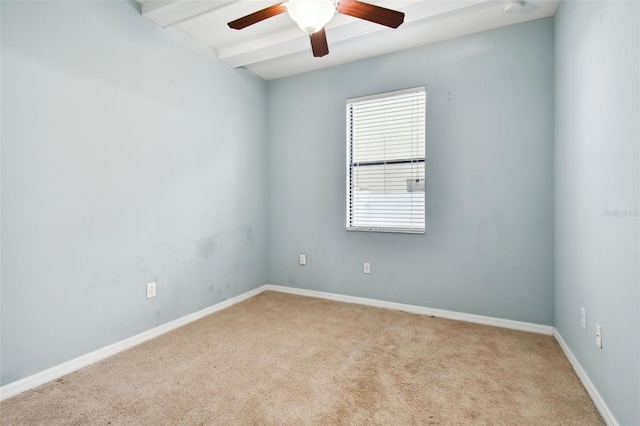 13201 Wellington Hills Dr, Riverview, FL 33579 - photo 33