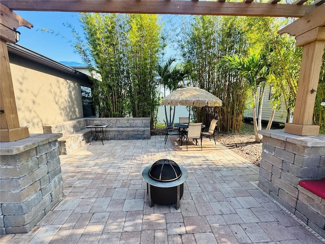 13201 Wellington Hills Dr, Riverview, FL 33579 - photo 57