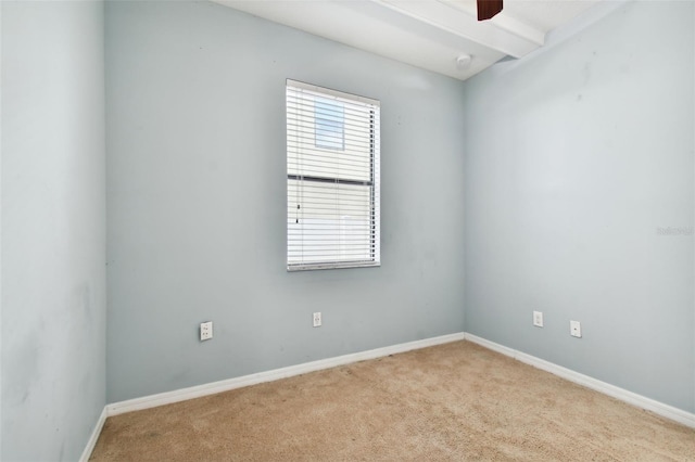 13201 Wellington Hills Dr, Riverview, FL 33579 - photo 36