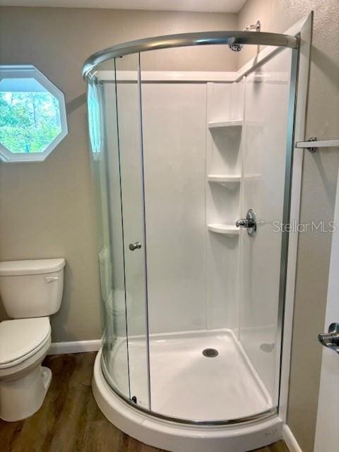 6952 W Barbara Ann Ln, Homosassa, FL 34446 - full bath with wood finished floors, baseboards, and a shower stall