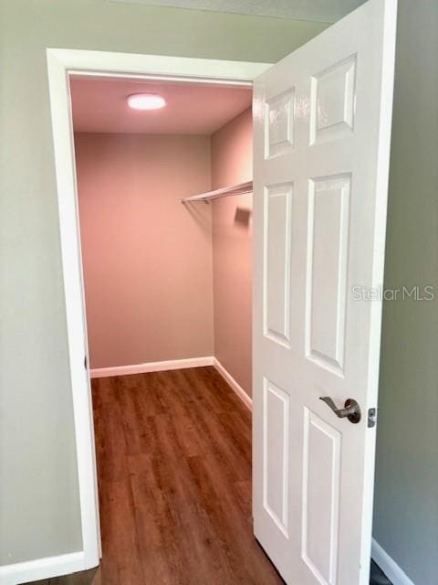 6952 W Barbara Ann Ln, Homosassa, FL 34446 - spacious closet with wood finished floors