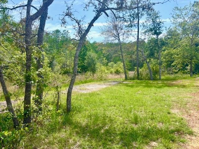 6952 W Barbara Ann Ln, Homosassa, FL 34446 - view of yard with a wooded view
