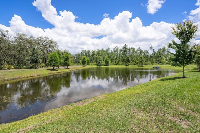 10098 Banyan Breeze Blvd, Land O Lakes, FL 34638 - water view