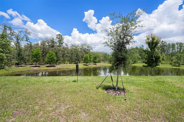 10098 Banyan Breeze Blvd, Land O Lakes, FL 34638 - view of yard with a water view