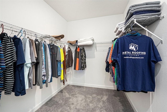 10098 Banyan Breeze Blvd, Land O Lakes, FL 34638 - spacious closet featuring carpet