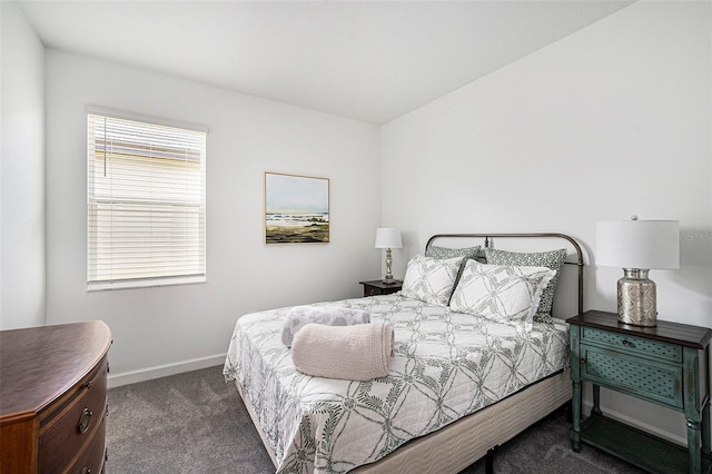 10098 Banyan Breeze Blvd, Land O Lakes, FL 34638 - bedroom with carpet flooring and baseboards