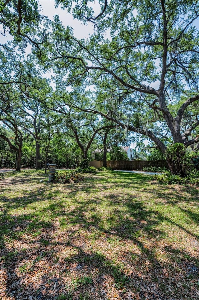420 Hanby St, Crystal Beach, FL 34681 - view of yard
