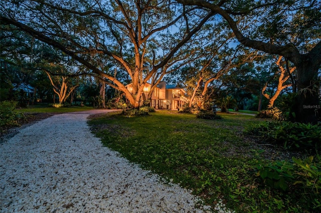 420 Hanby St, Crystal Beach, FL 34681 - view of green lawn