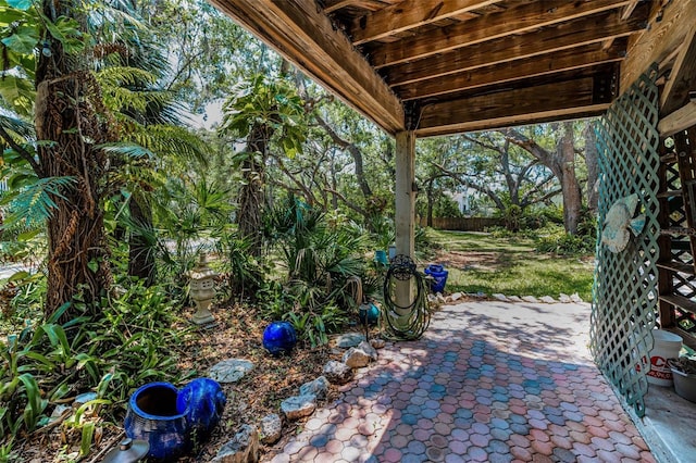 420 Hanby St, Crystal Beach, FL 34681 - view of patio / terrace with fence
