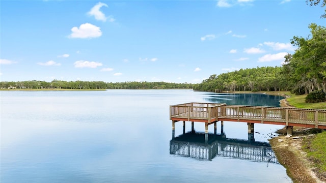 14648 Bournemouth Rd, Tampa, FL 33626 - photo 38